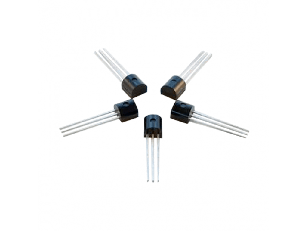 DS18B20 Sensor (one)