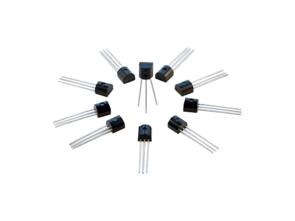 DS18B20 Sensor (one)