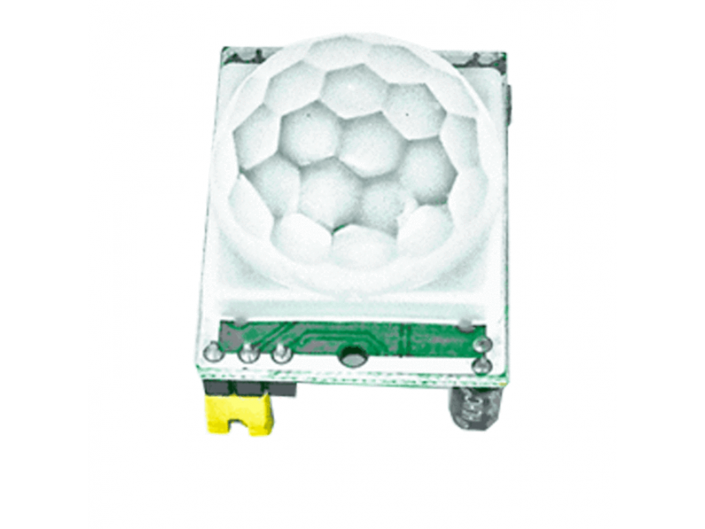 Motion Detector Module