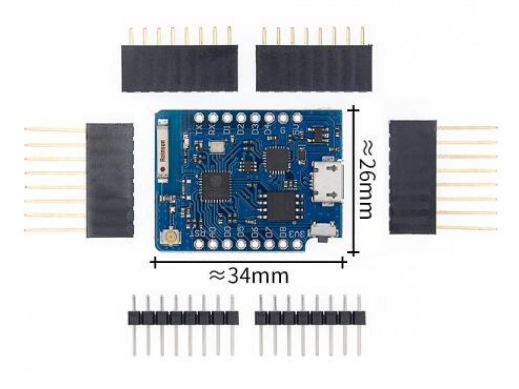 D1 Mini